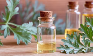 oleo-essencial-de-artemisia-absinto