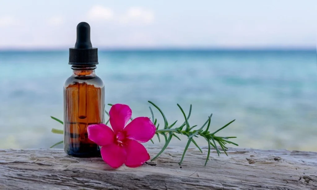 Curso-Online-de-Florais-de-Bach-é-Bom-mesmo