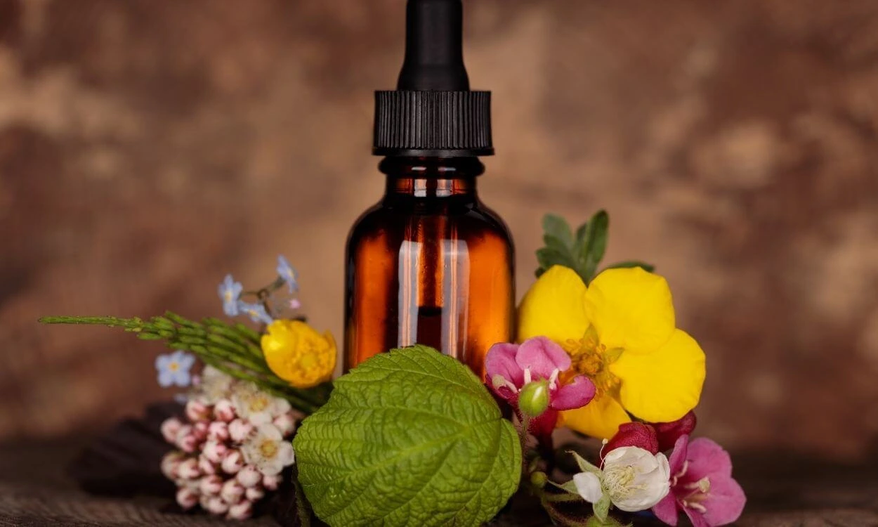 Curso-Online-de-Florais-de-Bach-é-Bom