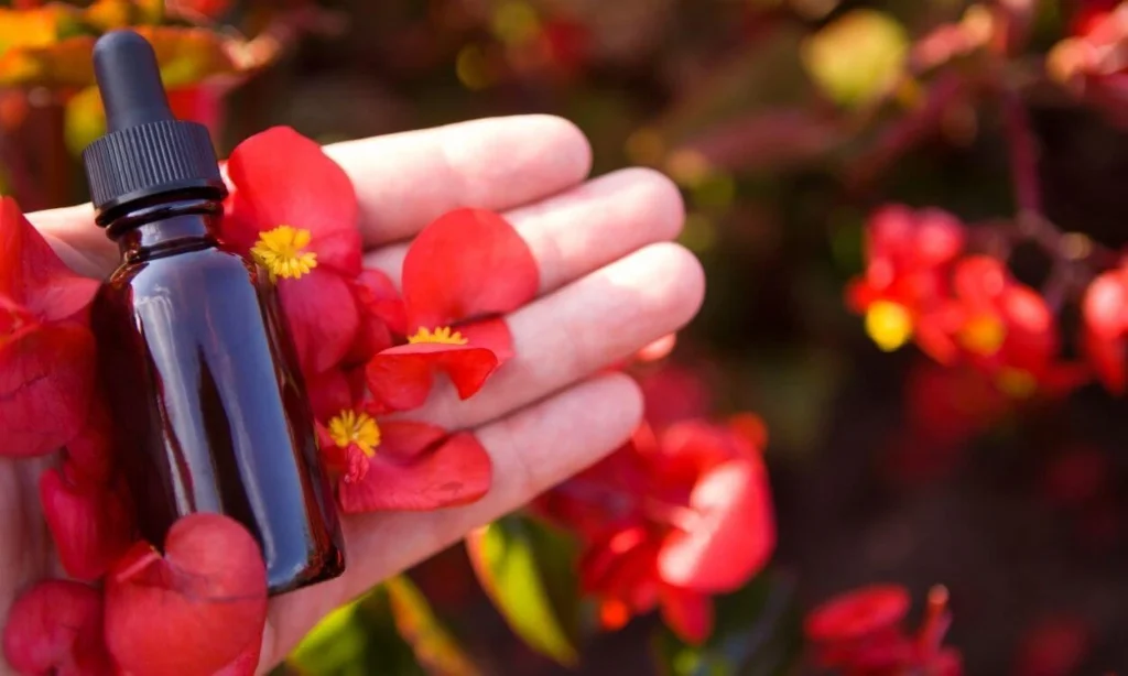 Curso-Online-de-terapeuta-floral
